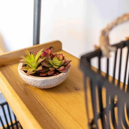 Modernes-apartment-elbkiez-im-herzen-von-dresden *